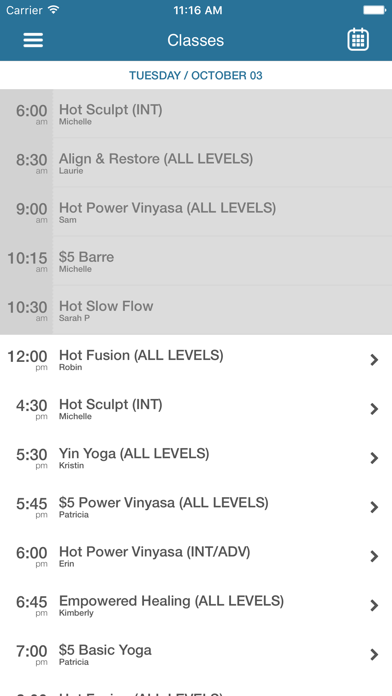 Vibe Yoga Studio screenshot 3