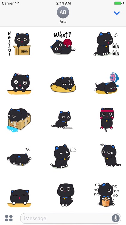Animated Black Cat and Potato