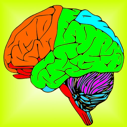 Brain & Nerves: The Human Nervous System Anatomy Icon