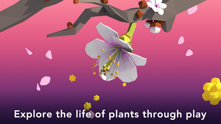 NAMOO - Wonders of Plant Life
