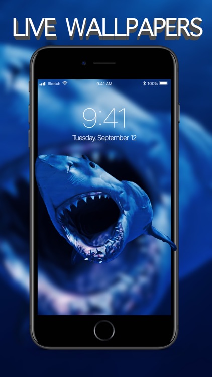 Live Wallpapers - ThemeRio screenshot-0