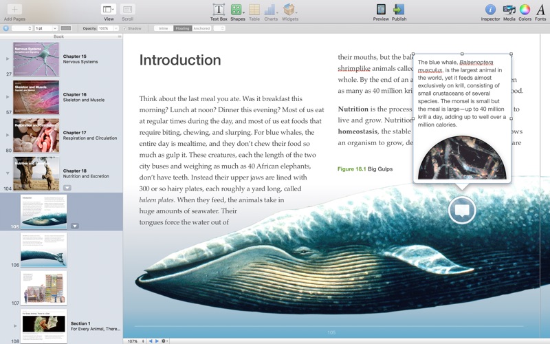 iBooks Author скриншот программы 3