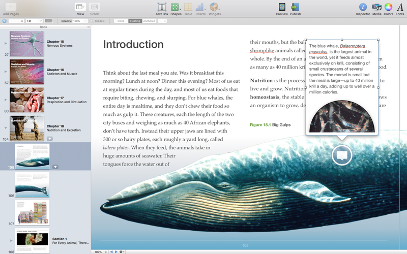 Скриншот из iBooks Author