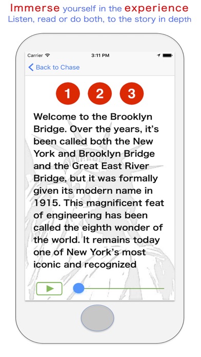 PlaceChase NYC BrooklynBound screenshot 3