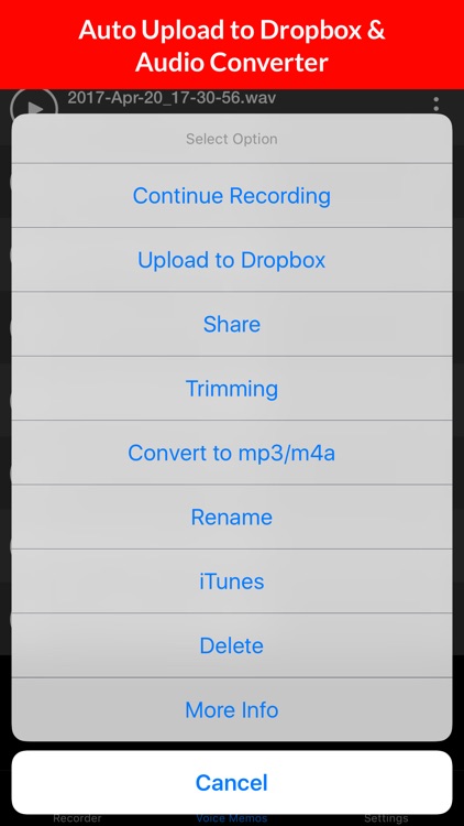 Voice Recorder & Audio Memo + screenshot-3