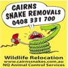 Cairns Snakes