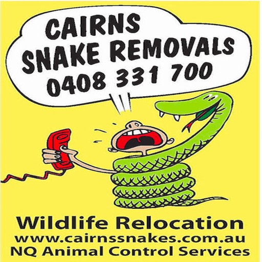 Cairns Snakes