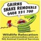 Cairns Snakes was established in 2002 at Cairns