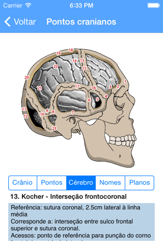 Oráculo de Neurocirurgia e Neurologia screenshot 3