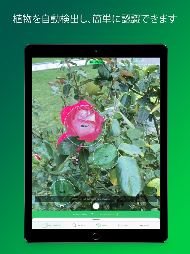 PlantSnap Pro: Identify Plants Screenshot