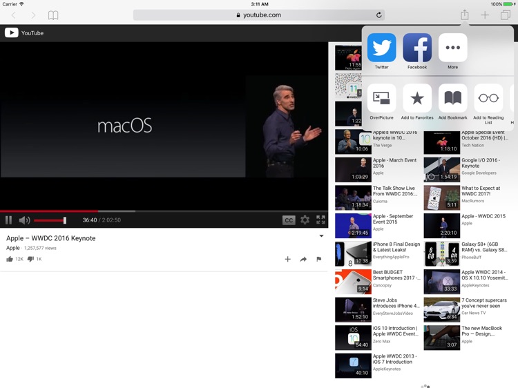OverPicture for Safari