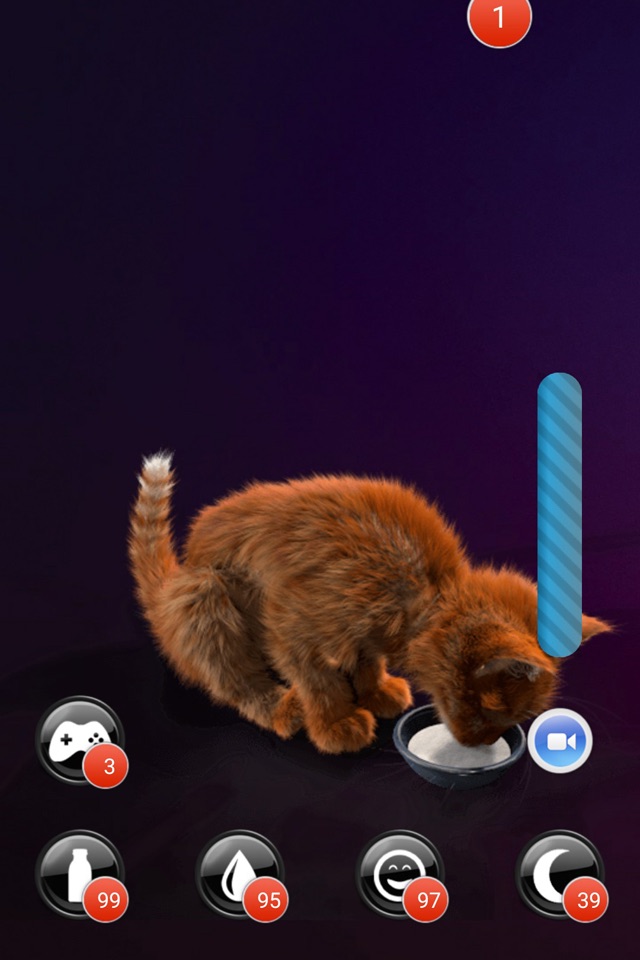 My Kitten (Cat Simulator) screenshot 4
