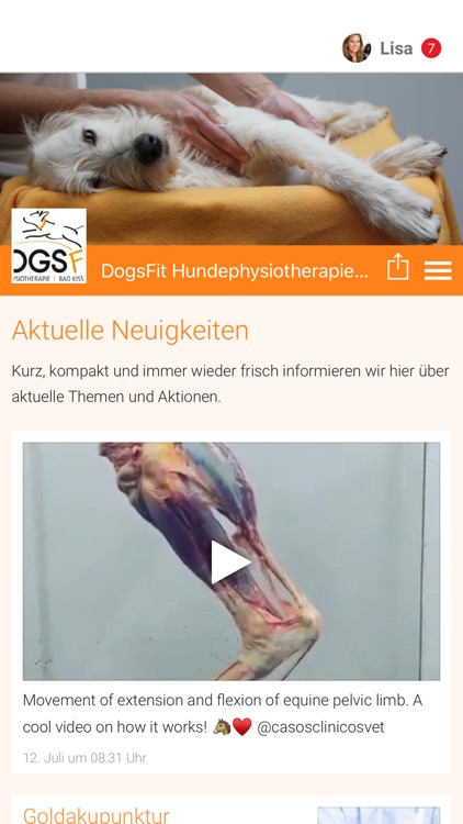 DogsFit Hundephysiotherapie