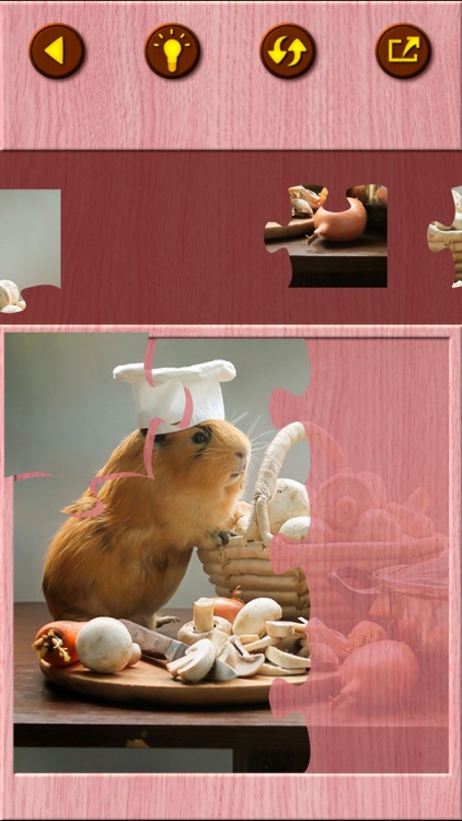 Guinea Pig Jigsaw Puzzle Games screenshot-3