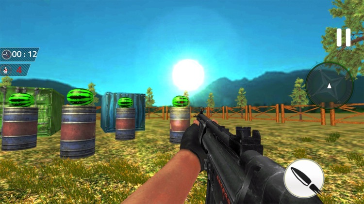 Watermelon Shooting Adventure screenshot-3