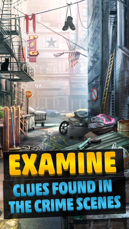 Criminal Case