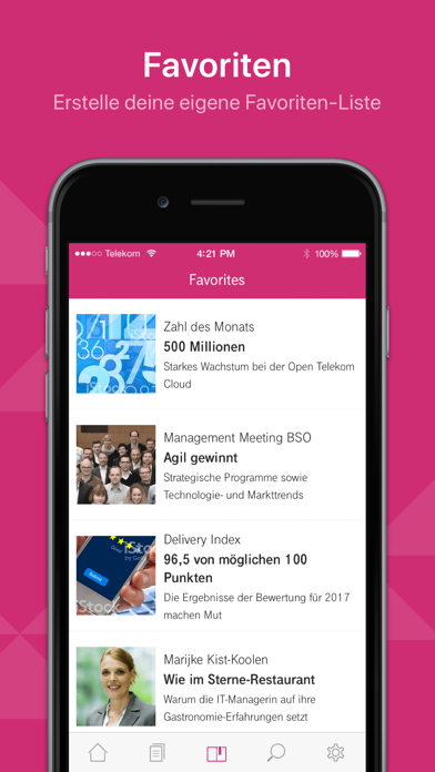 Telekom IT screenshot 2