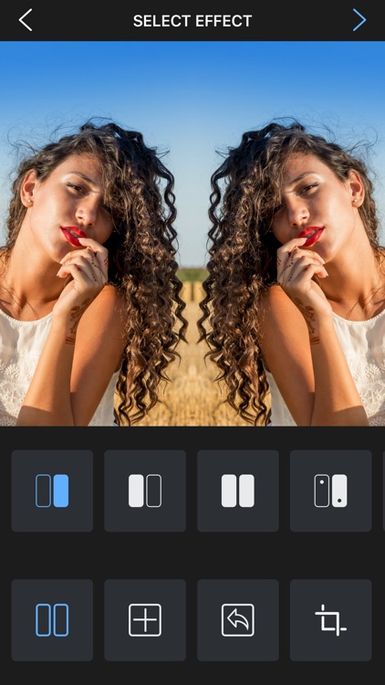 Flipper - Mirror Image Editor