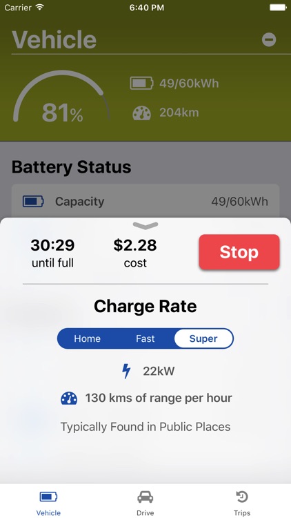 Virtual Electric Vehicle