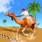 Desert king camel race is the most realistic best camel racing simulation game