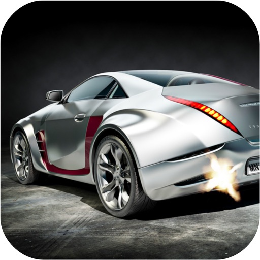 Fast Car Race Cup icon