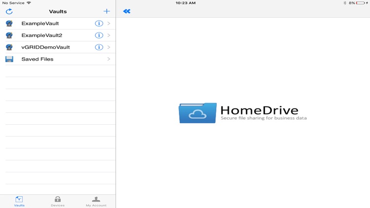 HomeDrive Mobile Access