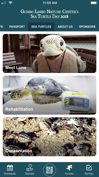 Gumbo Limbo Sea Turtle Day '18 screenshot 4