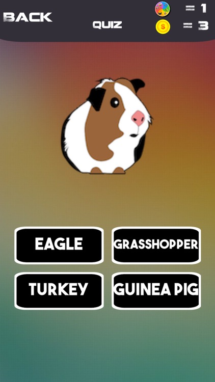 THE BEST QUIZ-fun for all ages screenshot-4