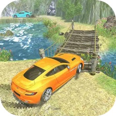 Activities of Mountain Car Driving