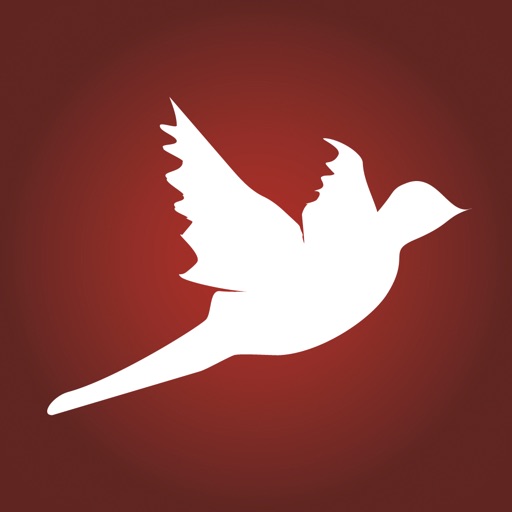 NLT Study Bible