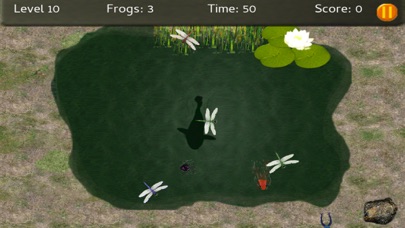 Baby Frogs - Frog Wrangling screenshot 2