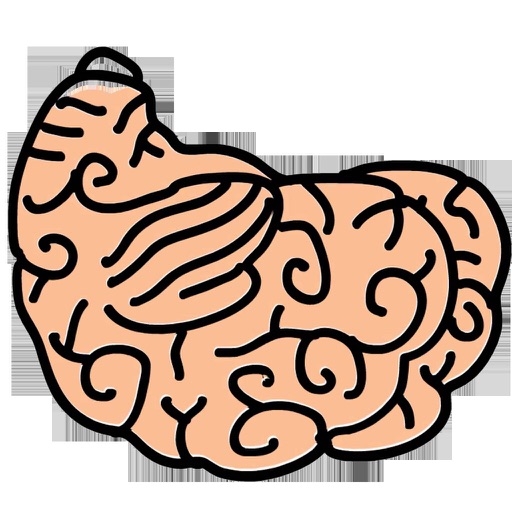 Reverse Brain icon