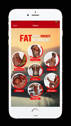 My Fat Burn Pocket Workout(圖2)-速報App