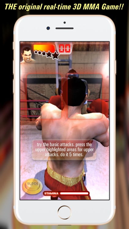 Iron Fist Boxing screenshot-0