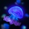 Live Gallery - our living Planet