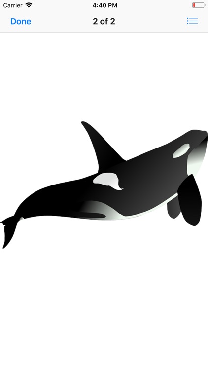 Real Whale Stickers