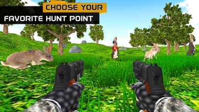 Double Guns Rabbit Hunting 3D screenshot 2