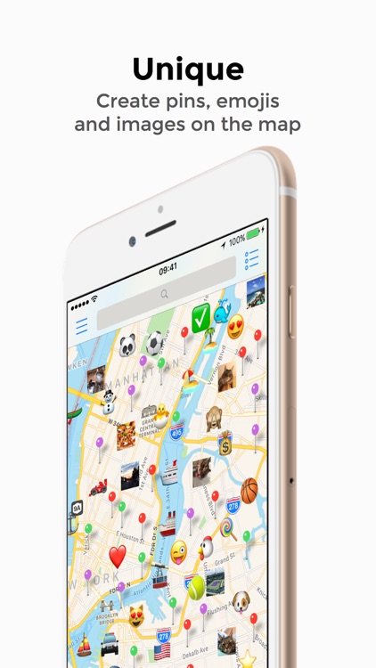 Pin365 Pro - Your travel map