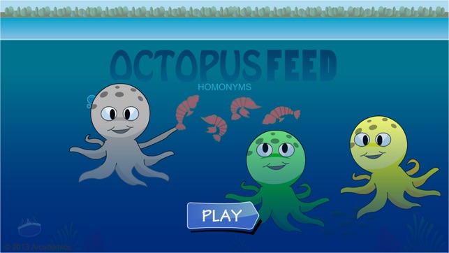 Octopus Feed