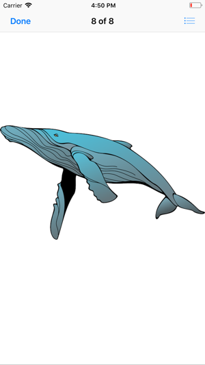 Real Whale Stickers(圖9)-速報App