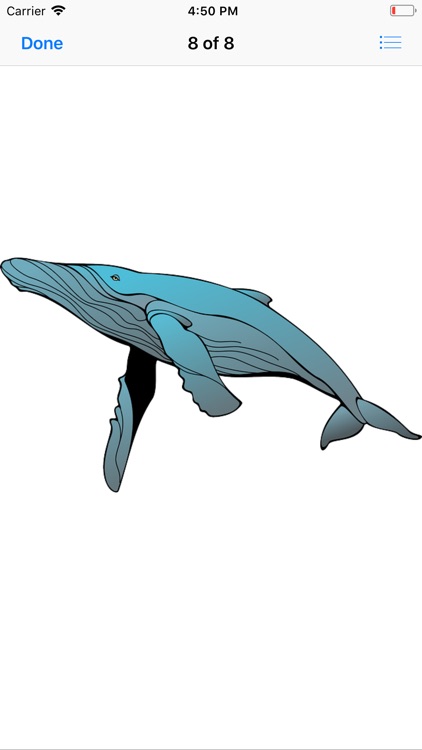 Real Whale Stickers screenshot-8
