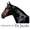 Pferdezucht Dr. Jacobs