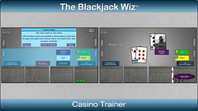 The Blackjack Wiz screenshot 3