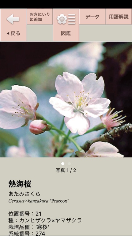 さくら図鑑
