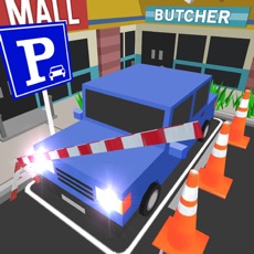 Activities of Car Parking Master 3D Cartoon
