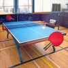 Table Tennis Touch (AppStore Link)