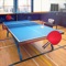 Table Tennis Touch brings realistic gameplay action to your fingertips