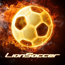 LionSoccer