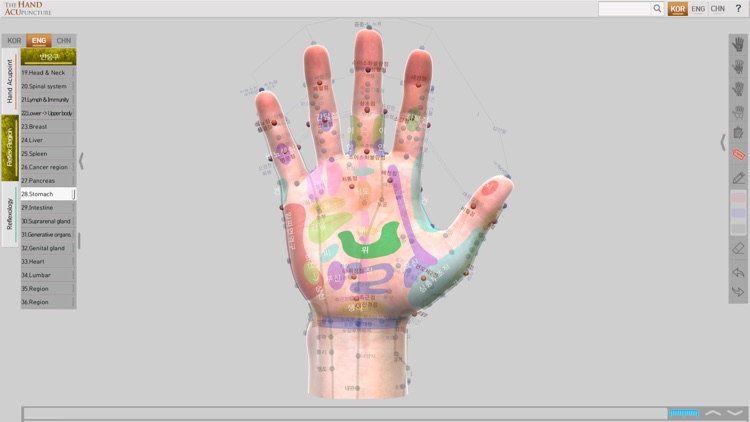 Hand Acupuncture screenshot-3