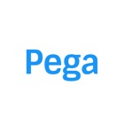 Pega Engineering Passport